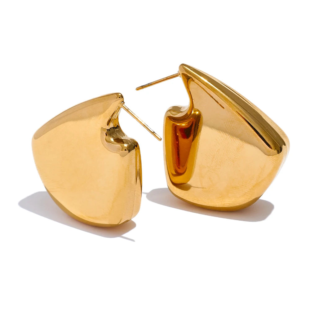 Exclusive thick modern stylish stud earrings - product image