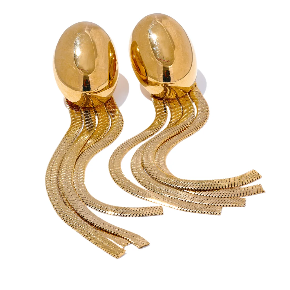 Oval tassel snake chain long drop earrings - product image