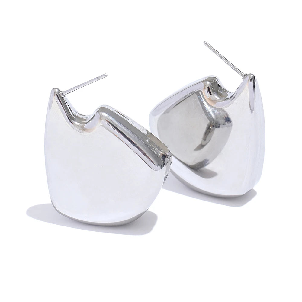 Exclusive thick modern stylish stud earrings - product image