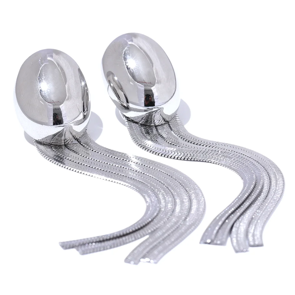 Oval tassel snake chain long drop earrings - product image